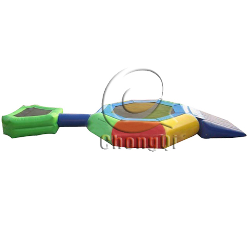 inflatable bouncer water slide
